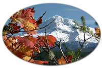 Mt Hood, this view is 10 minutes from our studio!